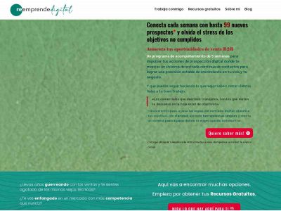reemprendedordigital.com snapshot