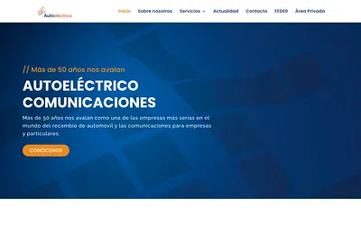 autoelectrico.es snapshot