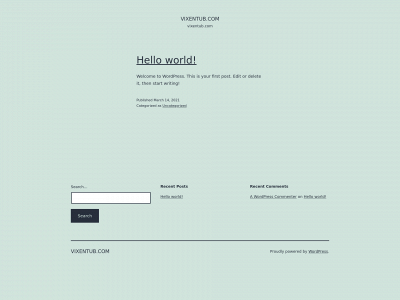 vixentub.com snapshot