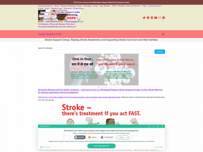 strokesupport.in snapshot