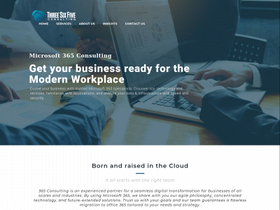 365consulting.io snapshot