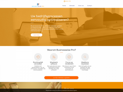 businesswisepro.nl snapshot