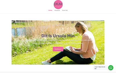 diumofficesupport.nl snapshot