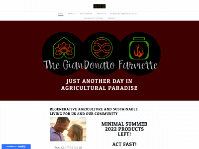 www.tgf-llc.com snapshot