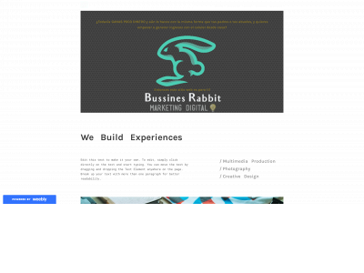 bussinesrabbit.weebly.com snapshot