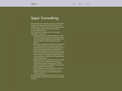 spjut.ai snapshot