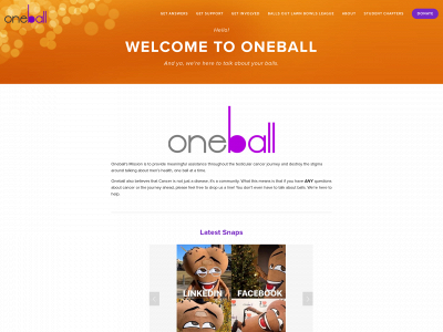 oneball.ca snapshot
