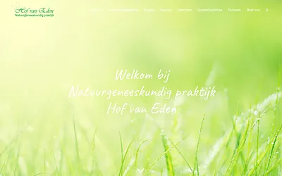 praktijkhofvaneden.nl snapshot