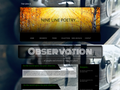 ninelinepoetry.com snapshot