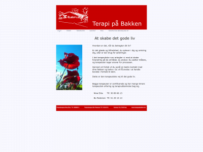 terapipaabakken.dk snapshot