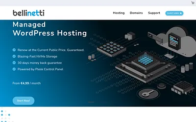 bellinetti.com snapshot