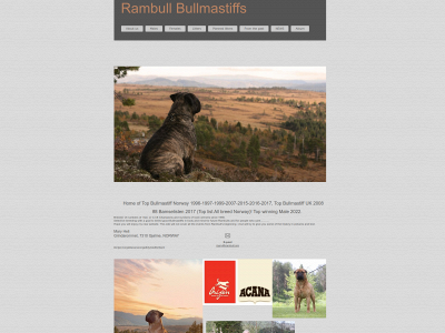 rambull.org snapshot