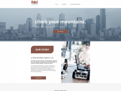 newmountainsolutions.com snapshot
