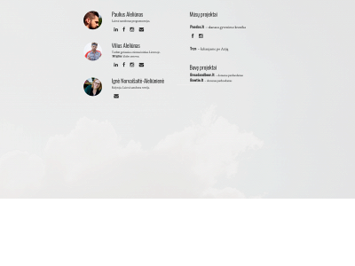 aleliunas.lt snapshot