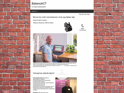 balansact.se snapshot
