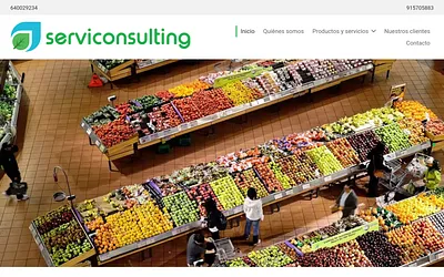 serviconsulting.info snapshot