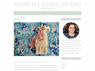plumtuckeredstudio.com snapshot