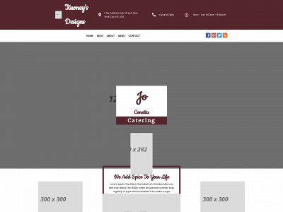 tawneyds.com snapshot