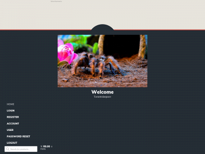 tarantulaspace.com snapshot