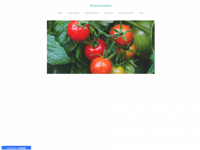 brandpremium.weebly.com snapshot