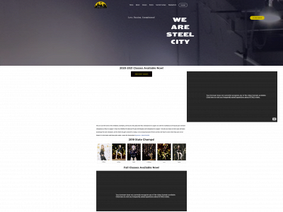 steelcitydanceandgymnastics.com snapshot