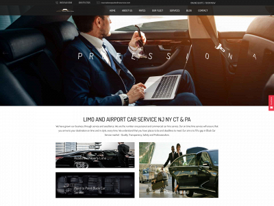 krlimoservices.com snapshot