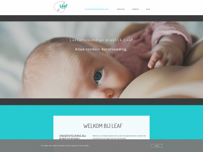 lactatiekundigepraktijkleaf.nl snapshot
