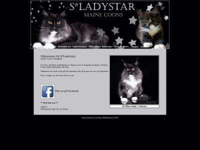 ladystar.be snapshot
