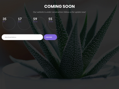 koolo.co snapshot