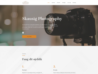 skausig.dk snapshot