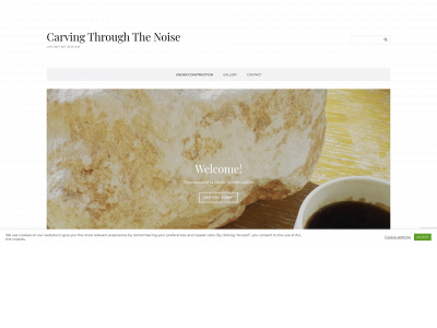 carvingthroughthenoise.com snapshot