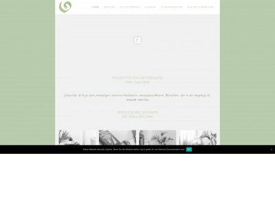 veramolnar.at snapshot