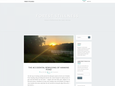foreststillness.com snapshot