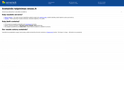 enzas.lt snapshot