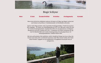 birgitschlyter.se snapshot