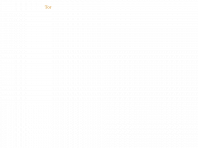 torkr.com snapshot