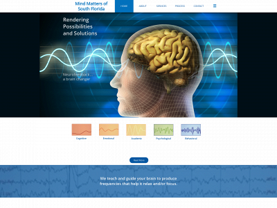 sagebrainneurofeedback.com snapshot