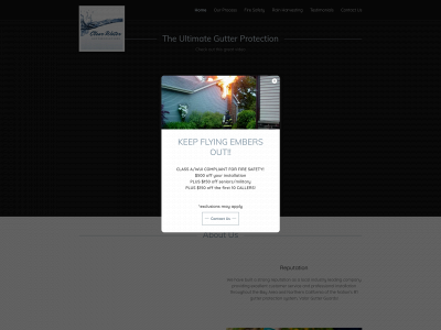 clearwaterguttersolutions.com snapshot