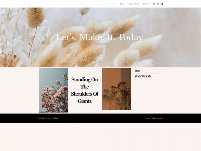tsatsralblog.com snapshot