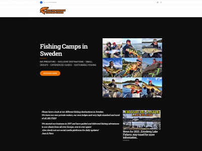 bigfishsweden.com snapshot