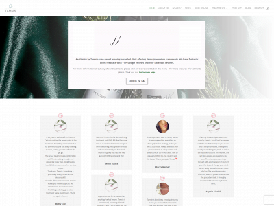aestheticsbytamsin.co.uk snapshot