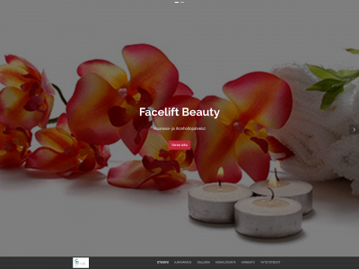 faceliftbeauty.com snapshot