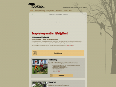 topkap.dk snapshot