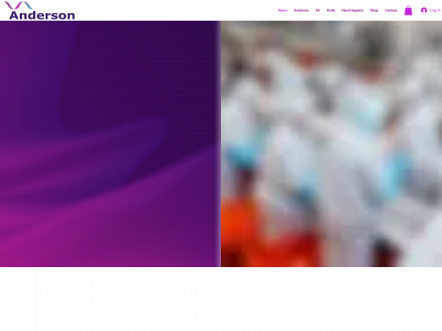 andersonbiosafety.co.uk snapshot