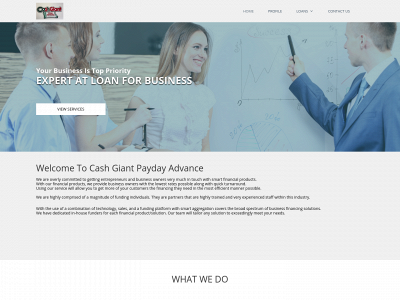cashgiantpaydayadvance.com snapshot