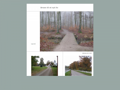 riaferslev.dk snapshot