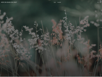 sofianilsson.site snapshot