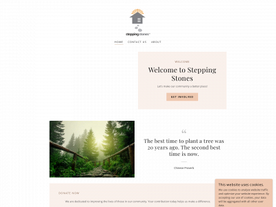 steppingstones-inc.com snapshot