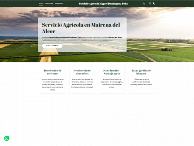 servicioagricoladominguez.com snapshot