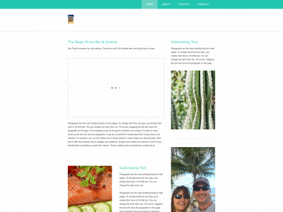 thesippystraw.com snapshot